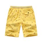 Summer men's beach pants sporty casual shorts