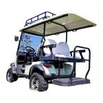 Custom Street Legal 4 Seater Street Legal Golf Buggy Ce Certified European Style