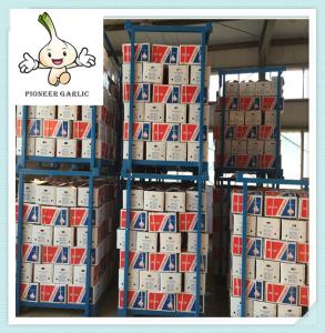 Wholesale 2016 Price of Garlic from China (GRADE AAA) Fresh Garlic For Sale from china suppliers