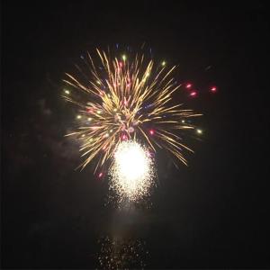 Wholesale 88 Shots High Quality Lower Price CE Approved Display Wholesale Consumer Chinese Cake Fireworks From Liuyang Factory from china suppliers