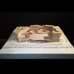 Wholesale Maple Wood Model - SAZD 1:250 Shenzhen Shangxia Henglang School from china suppliers