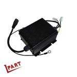 Forklift Battery Parts Battery Charger 1121-520004-0A ESCH24V5A