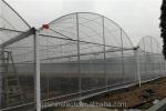 Intelligent Greenhouse For Tomato Cultivation Multi Span Film Green House By