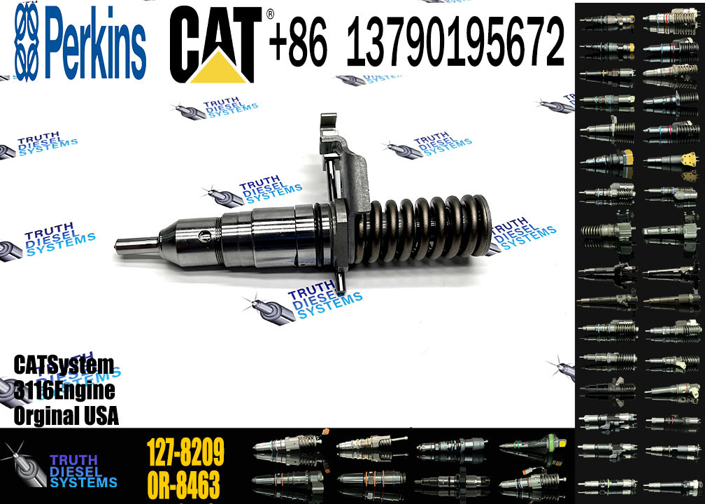 Fuel Injector 127-8209 127-8216 127-8228 127-8230 162-0212 162-0218 418-8820 0R-8461 for CAT 3116