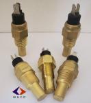 Electronic Npt3/8 Brass Water Temperature Sensor Max120℃