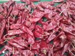 12CM Dry Red Chilli Whole Xinglong 10KG Dried Asian Chili Peppers
