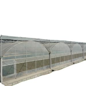 Wholesale Multi-Span Agricultural Greenhouses Hydroponic Aeroponic Tower Garden for Film Greenhouse from china suppliers
