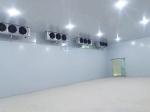 150 square Meters Vegetables Cold Storage Room With Sliding Doors