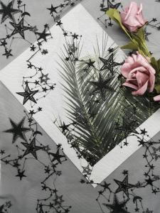 Wholesale Black Star Shape Sequin Embroidered Fabric from china suppliers