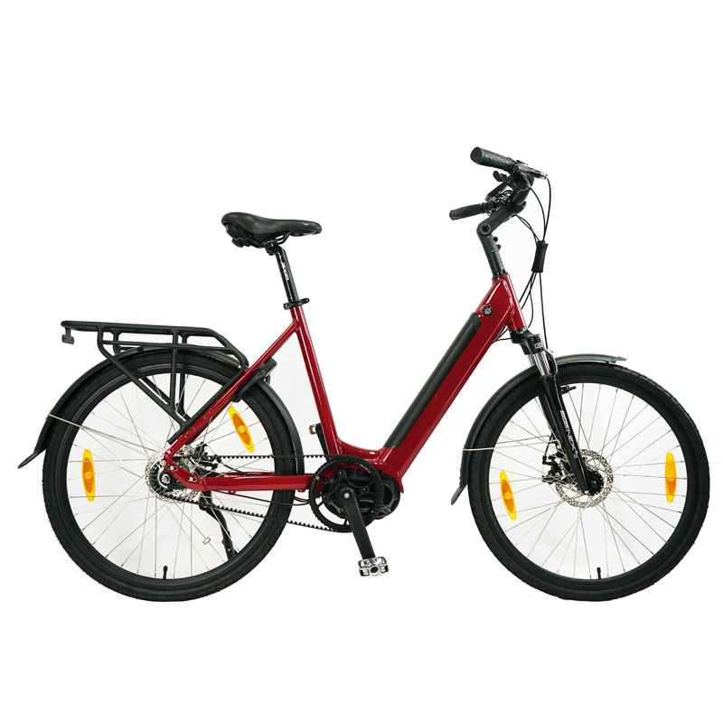Electric Bicycle for Adults Fast Speed Customized Design and 1-3 Hours Charging Time