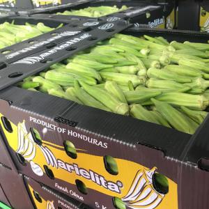 Wholesale PP Corrugated Plastic Box for Vegetable and Fruit Agriculture Packing box from china suppliers