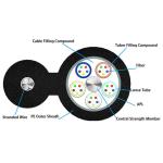 24 Core Armored Loose Tube Fiber Light Optic Cable Single Mode