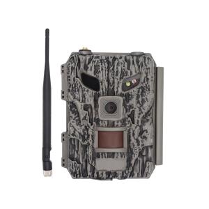 Wholesale 4G LTE Cellular Hunting Camera Camouflage Colour With WIFI Connection from china suppliers
