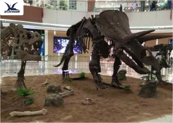 Amusement Park Facility Life Size Dinosaur Skeleton Replica Artificial Replica