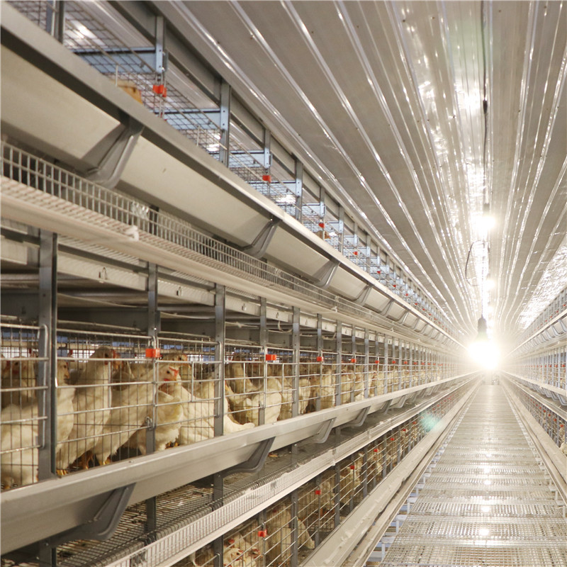 Poultry Galvanized Layer Chicken Cage System 128 Birds 160 Birds