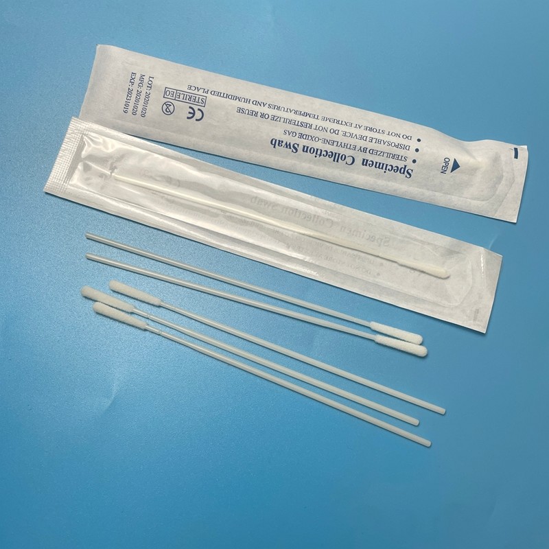 6-Inch Nylon Flocked Swabs for Oral Sampling and DNA Collection