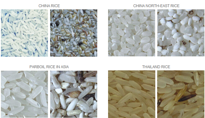 High Efficiency Working Rice Color Sorter For Rice Mill Industry