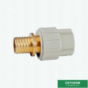 Wholesale PEX PPR Brass Slide Fittings 1/2&quot; - 2&quot; Converter Fitting from china suppliers