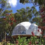 Half Sphere Trade Show Catering Dining Geodesic Dome Tent With Steel Frame Pvc