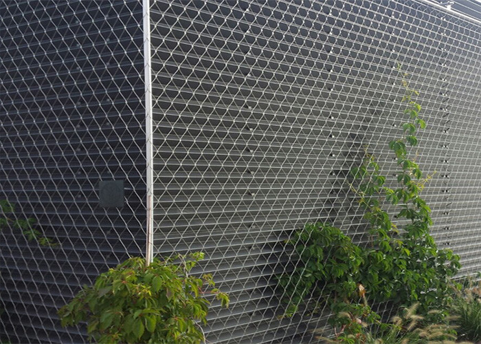 Horizontal SUS316 Stainless Steel Ferrule Rope Mesh 3.2mm For Climbing Plants