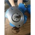 Doosan Excavator Hydraulic Pump R60 Main Pump AP2D28 For DH55