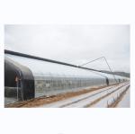 Boost Winter Crop Growth Single Span Agricultural Greenhouses Height 3.5-5M