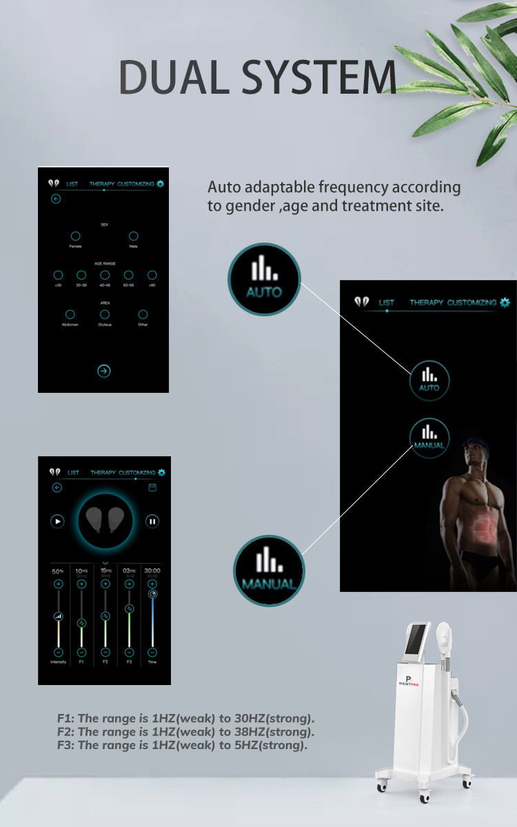 LF-446 Best Technology High Intensity Electromagnetic For Body Shape Muscle Training Machine