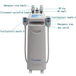 Hot sale CE approved Cryolipolysis fat freeze slimming / 5 cryo handles body