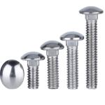 ISO9001 Certified Hot-Dip Galvanized Half-Round Head Square Neck Bolt for Bridge