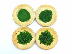 Wholesale Umami Flavor 10kg Aonori Dried Green Seaweed Nori Flakes Aonori Dried Seaweed Total Fat 0g to Make Biscuit from china suppliers