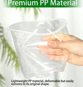 Wholesale Transparent Phalaenopsis flower pot from china suppliers