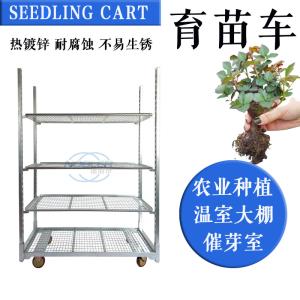 Wholesale 1350mm*565mm*1900mm Seedling Cart Danish Flower Trolley from china suppliers