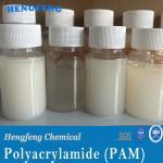 Wholesale White Powder Polymer PAM Flocculant Anionic Cationic Polyacrylamide in