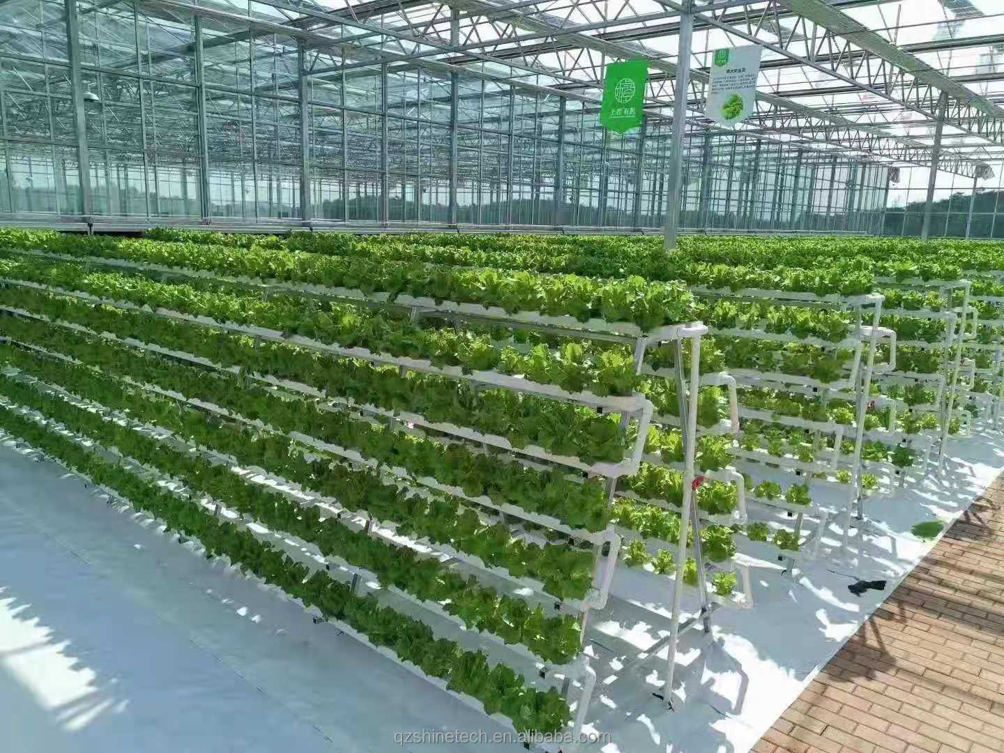Shine Tech Automated Greenhouse Glass House Instruction Super Strong Resistance