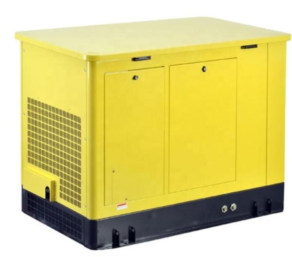 20KW LPG Natural Gas Gasoline Generator with Electric Starting and 380V Rated