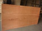 Furniture Decorating Bintangor Plywood