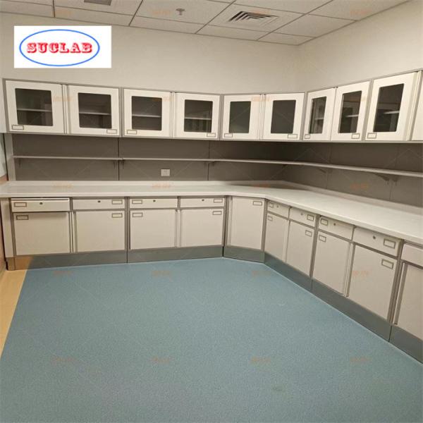 110 Degree Hinge and Stainless Steel Handle Hospital Disposal Cabinet Materials