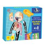 48pcs Preschool Educational Human Body Anatomy Magnetic Puzzle Toys For Travel