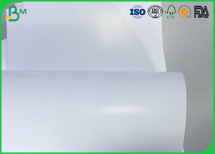 Offset Printing Glossy Art Paper 350gsm 400gsm 23" 24" 30" 36" In Roll Packing