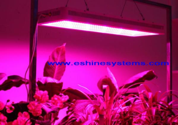 2015 New Top quanlity greenhouse ES-400x3W-3GP LED Grow Light For medical plant
