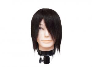 Wholesale Mannequin Wig Display Product  European Men Mannequin Head For Wig  Male Mannequin Head With Hair Human Hair Manikin from china suppliers