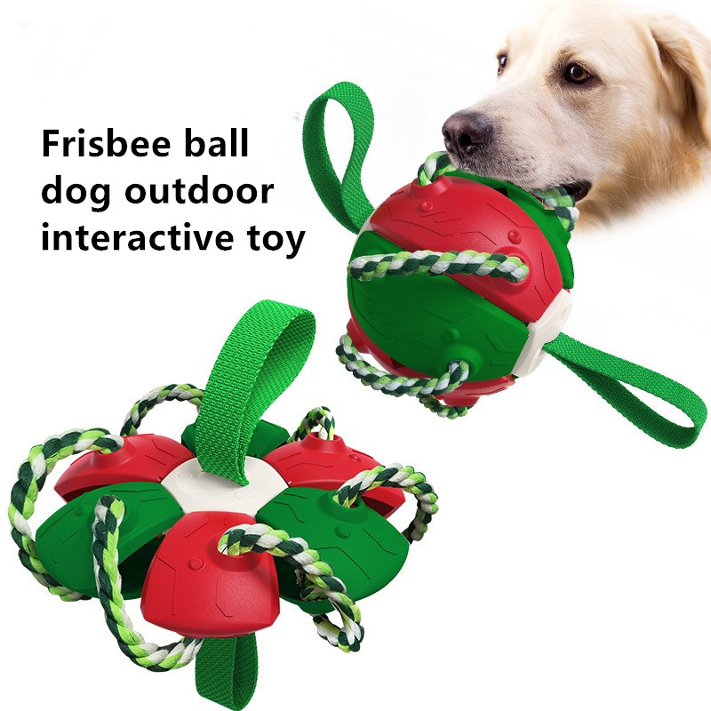 New Popular Amazon Outdoor Training Frisbee Interactive Football Dog Toy