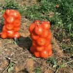 ISO Certified Food Grade Plastic Tubular Onion Leno Net Raschel Firewood Bag