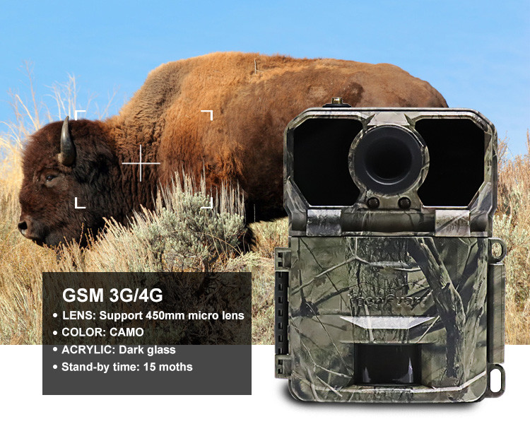 High Resolution 4g Wildlife Camera , Night Vision 4g Lte Trail Camera