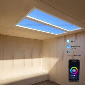 Wholesale 110VAC Virtual Artificial LED Skylight Panel Dimming 60x120 CCT 6500K 8000lm from china suppliers