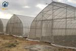 Commercial Agriculture High Tunnel Green Houses Single Span Metal Frame