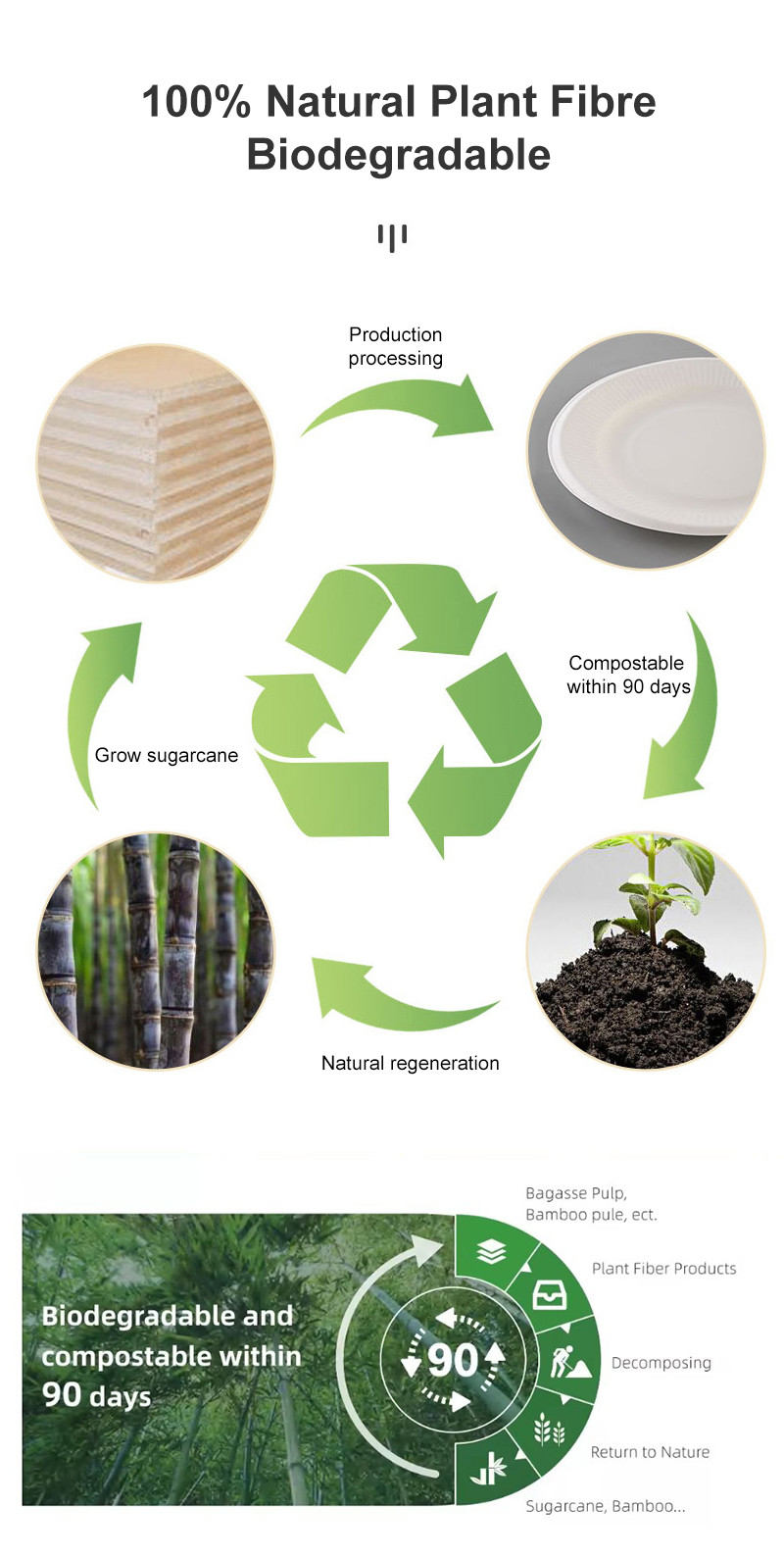 Eco Friendly Square Food Pulp Plate With Lid OEM ODM Available