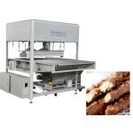 Covered Fruit 1200mm Chocolate Enrobing Machine