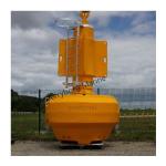 Heavy-Duty Material LLDPE Buoy With Top Mark & Solat Light for Industrial Marine