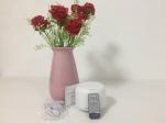 24Hz 300ml Ultrasonic Essential Oil Diffuser For Bedroom , Living Room